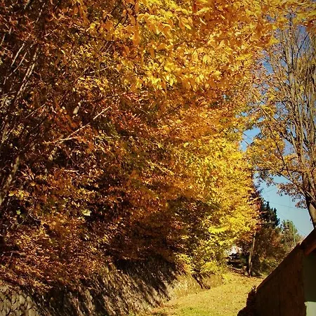 Letniskowa 10 Ξενοδοχείο *