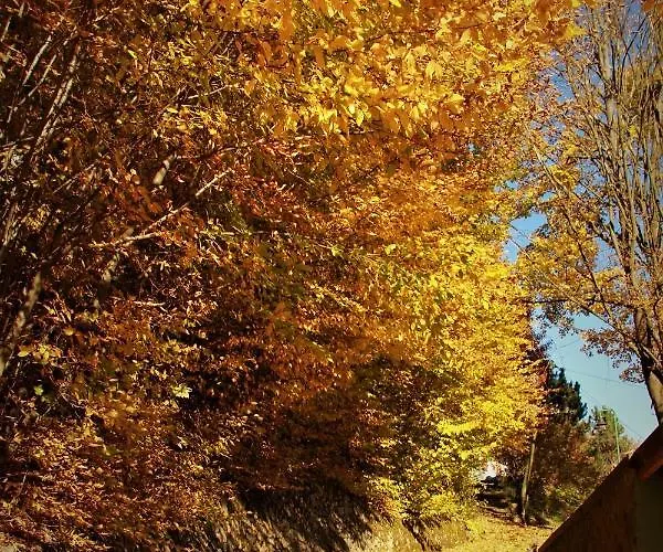 Letniskowa 10 Hotel *