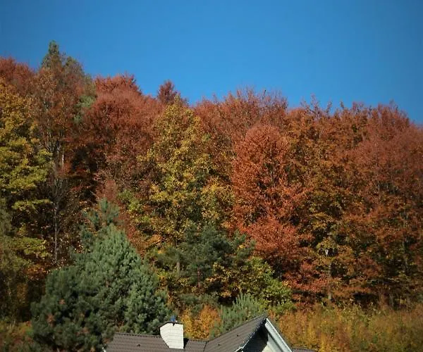 Letniskowa 10 * Czernichow (Zywiec)